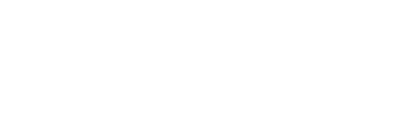 RaidVM